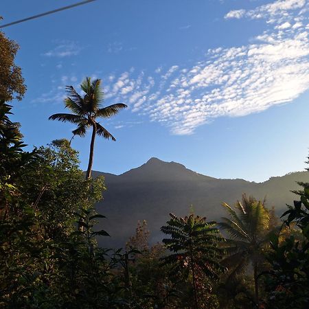 Pepper County Farm Stay Munnar Esterno foto
