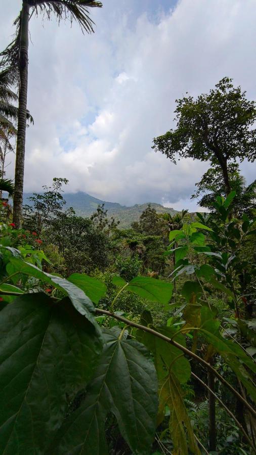 Pepper County Farm Stay Munnar Esterno foto