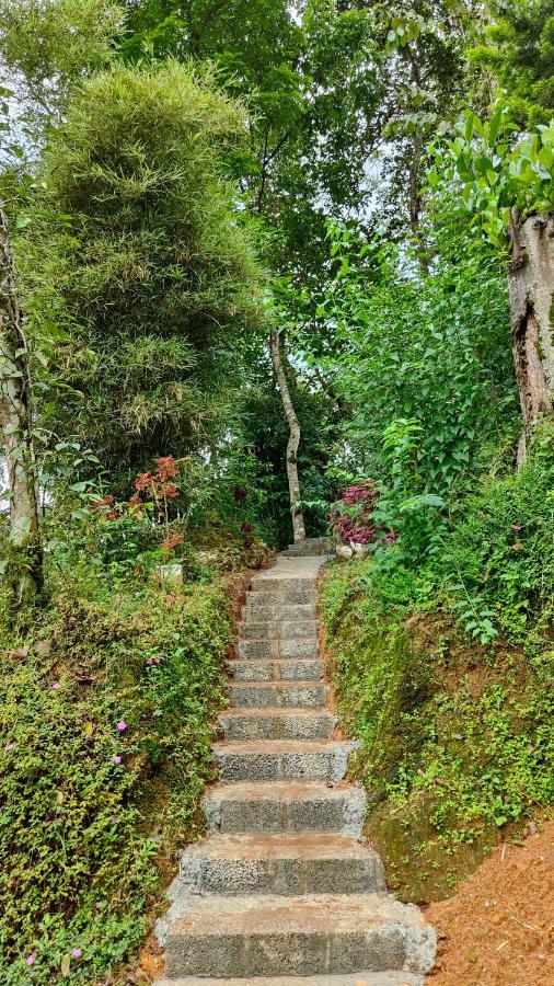 Pepper County Farm Stay Munnar Esterno foto