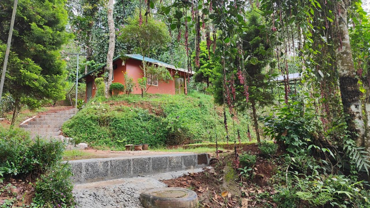 Pepper County Farm Stay Munnar Esterno foto