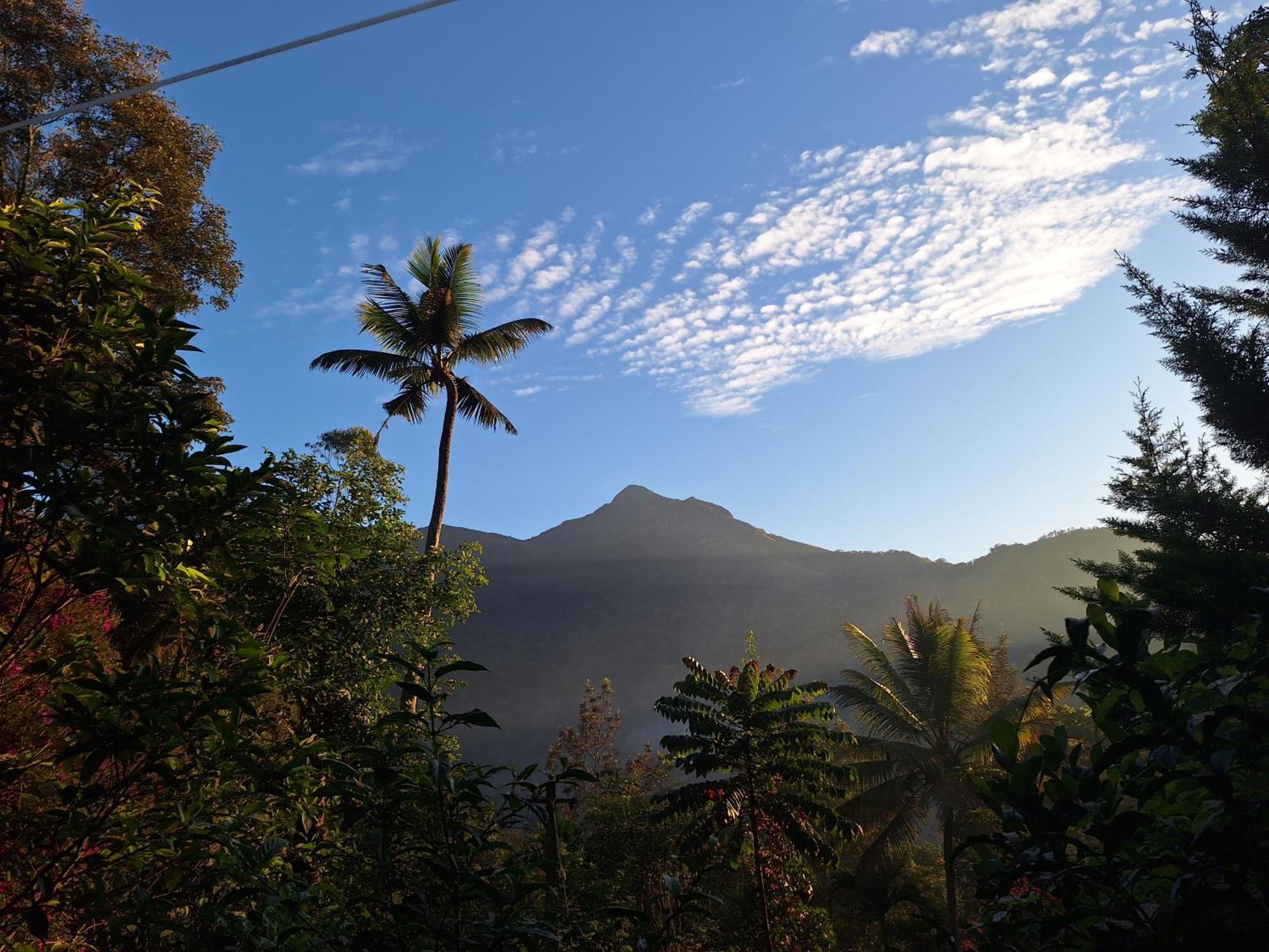 Pepper County Farm Stay Munnar Esterno foto