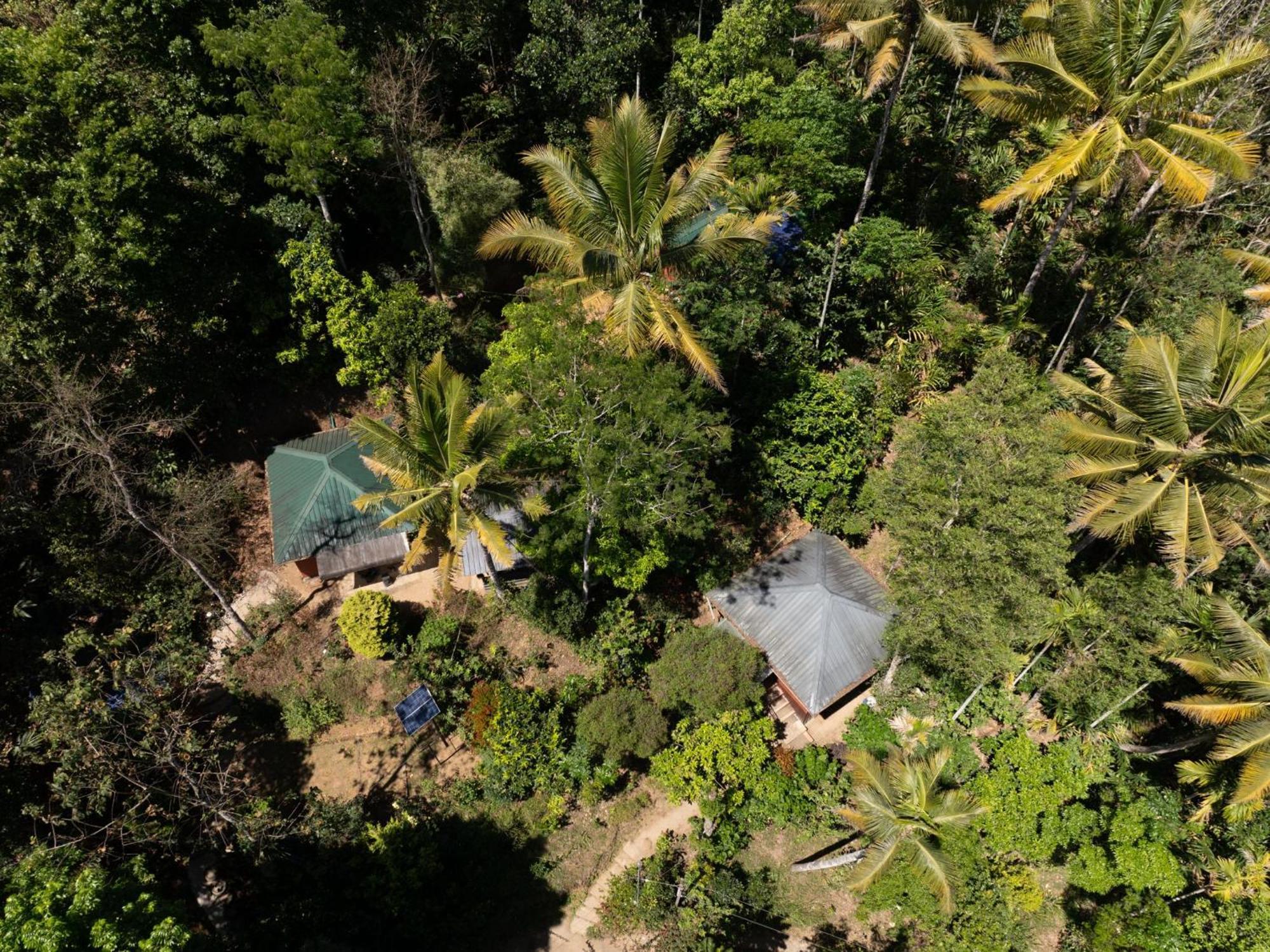 Pepper County Farm Stay Munnar Esterno foto