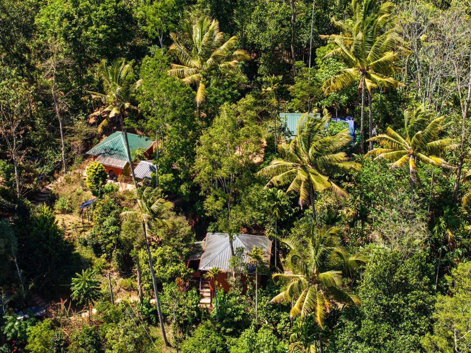 Pepper County Farm Stay Munnar Esterno foto