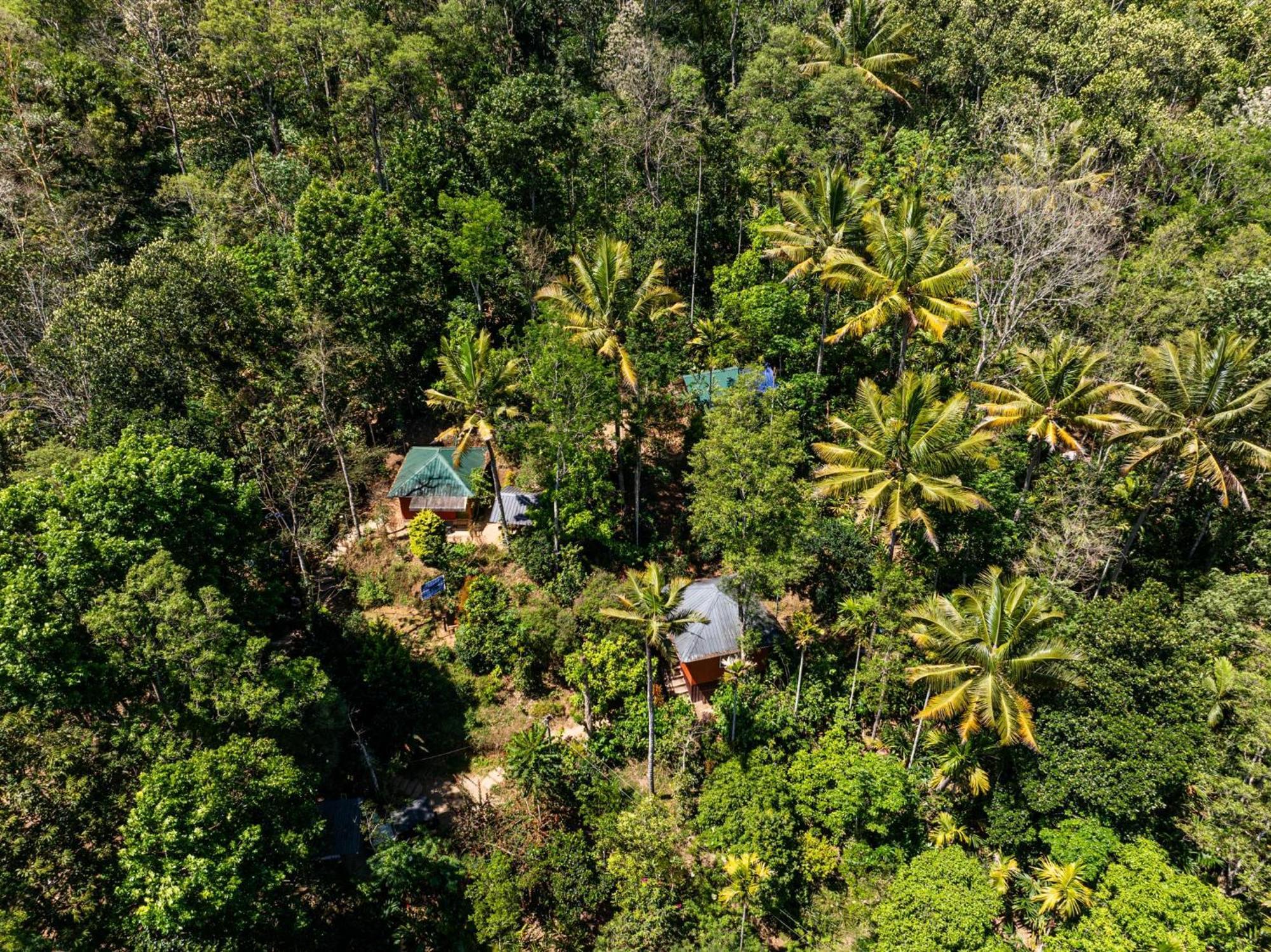 Pepper County Farm Stay Munnar Esterno foto