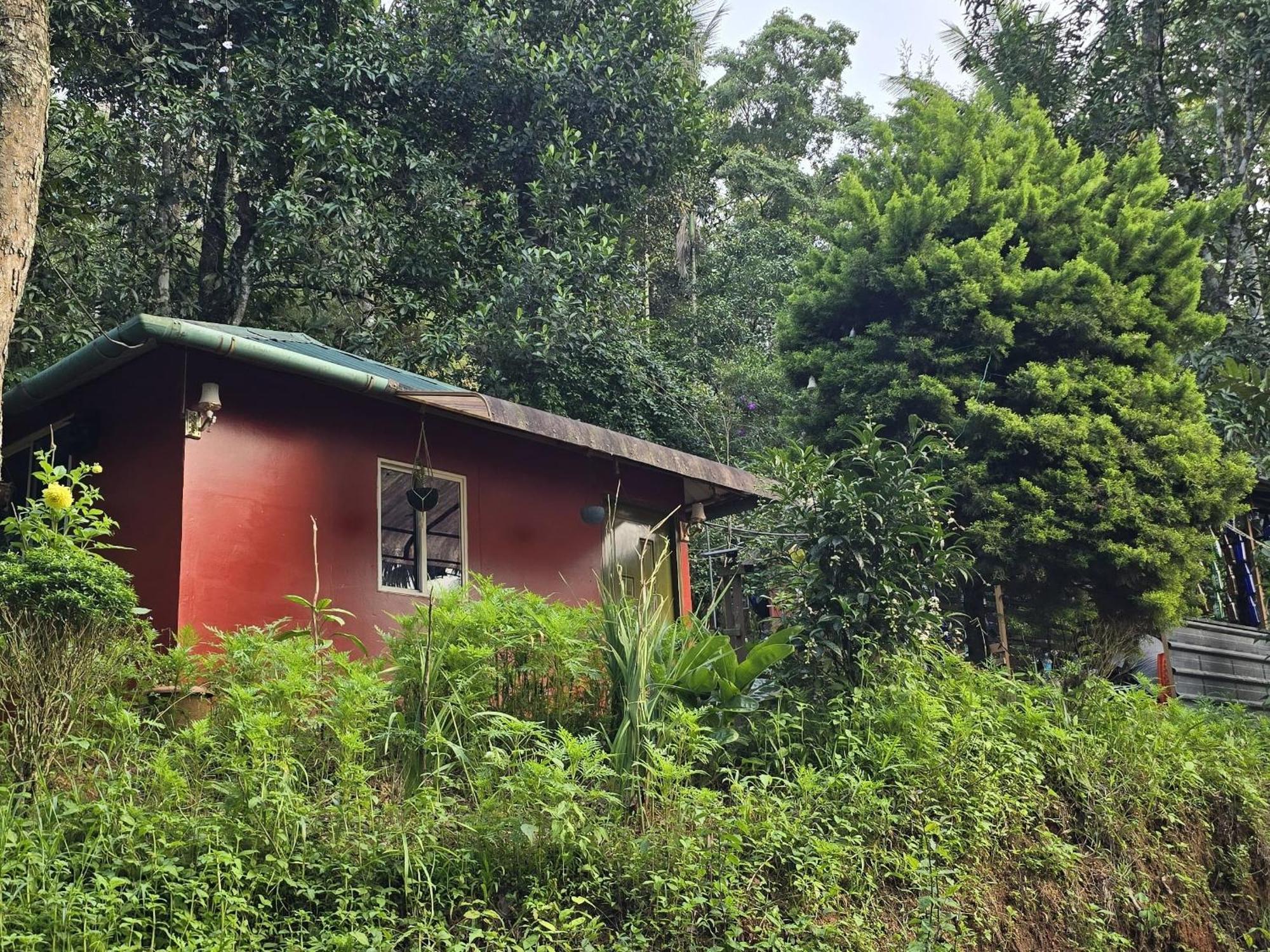 Pepper County Farm Stay Munnar Camera foto