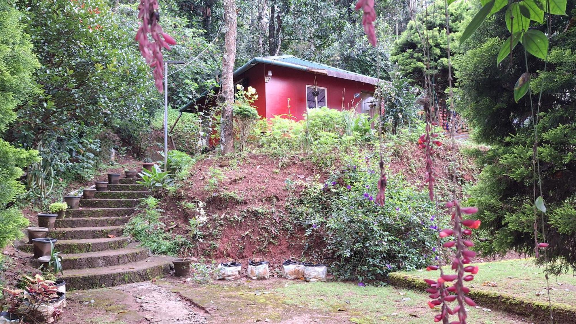 Pepper County Farm Stay Munnar Esterno foto