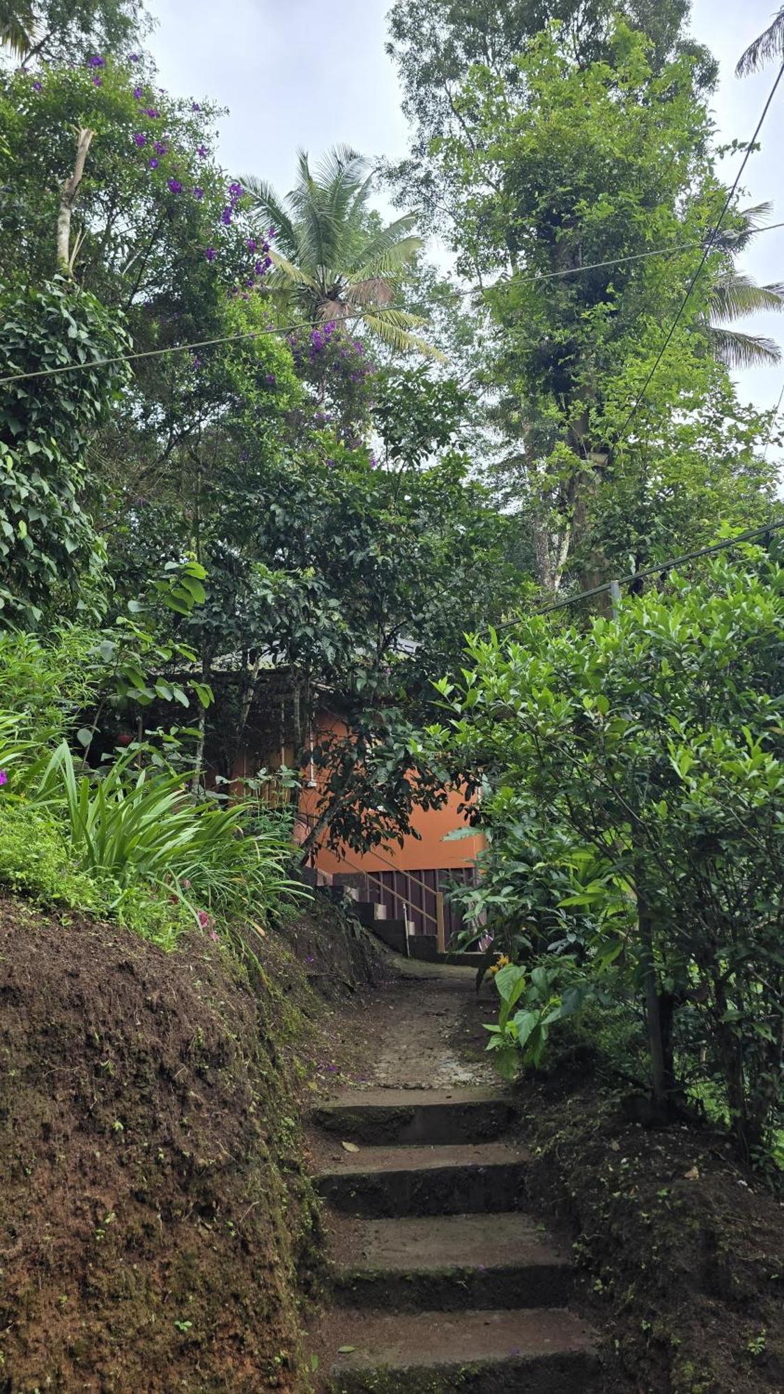 Pepper County Farm Stay Munnar Esterno foto