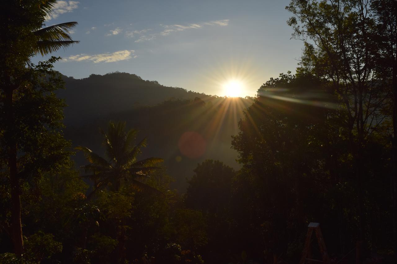 Pepper County Farm Stay Munnar Esterno foto