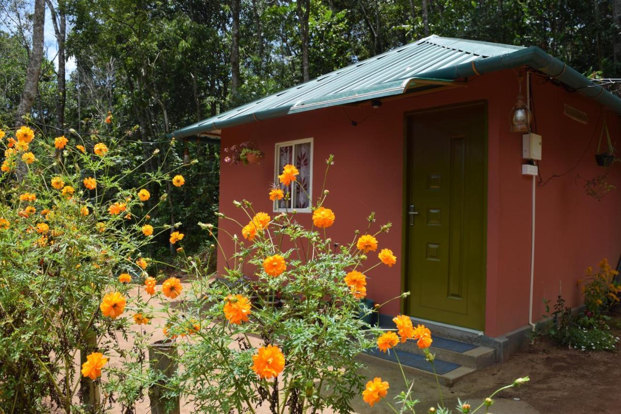 Pepper County Farm Stay Munnar Esterno foto