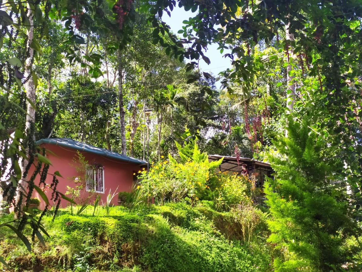 Pepper County Farm Stay Munnar Esterno foto