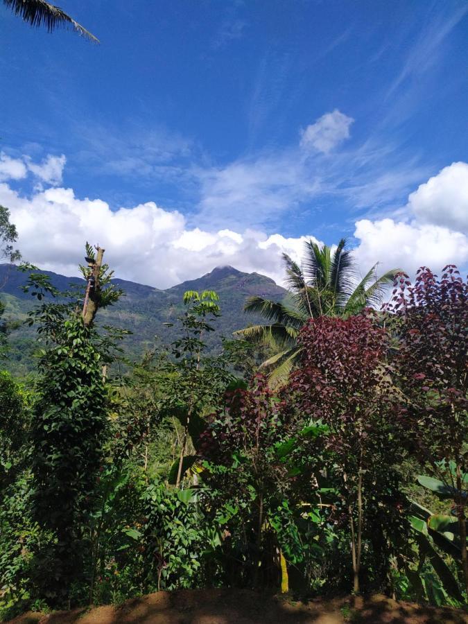 Pepper County Farm Stay Munnar Esterno foto