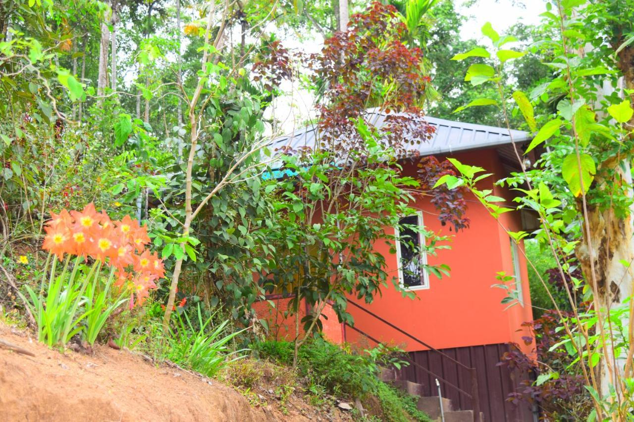Pepper County Farm Stay Munnar Esterno foto